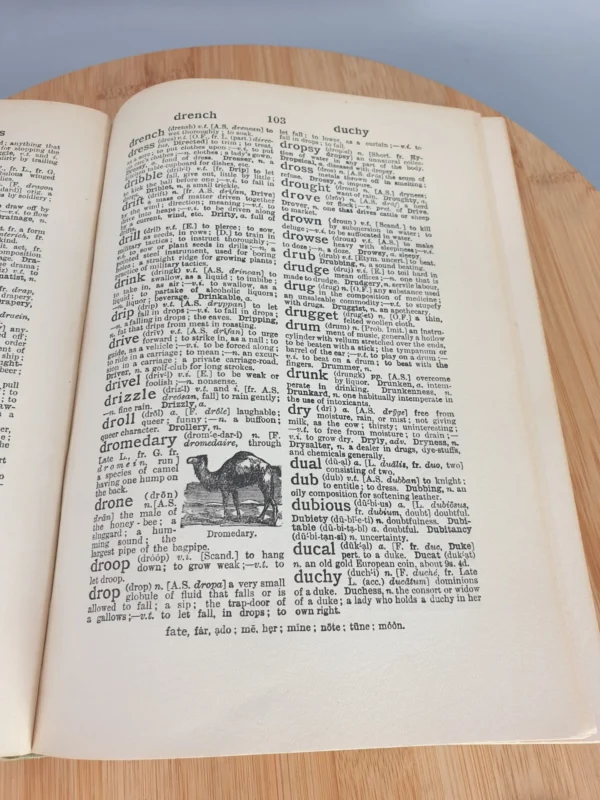 Old Books Encyclopedia Collins 16